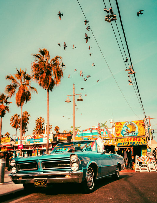 Dogtown