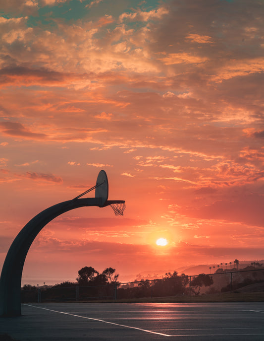 Court Dreams