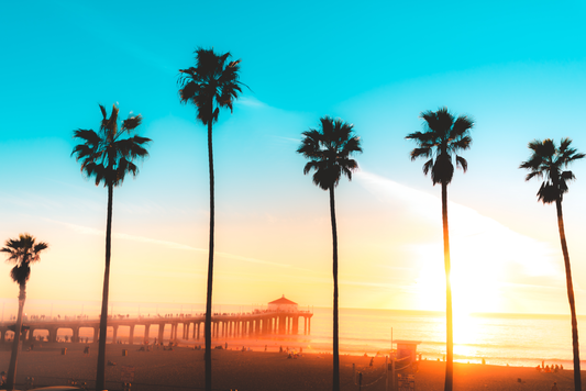 Pier & Palms