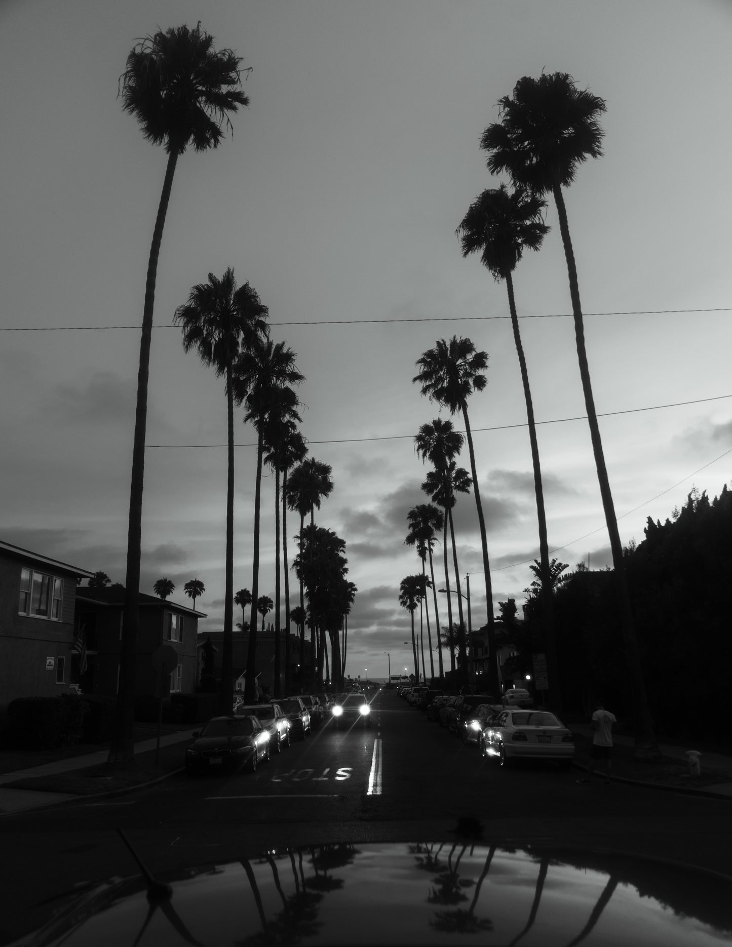 Palm Lanes