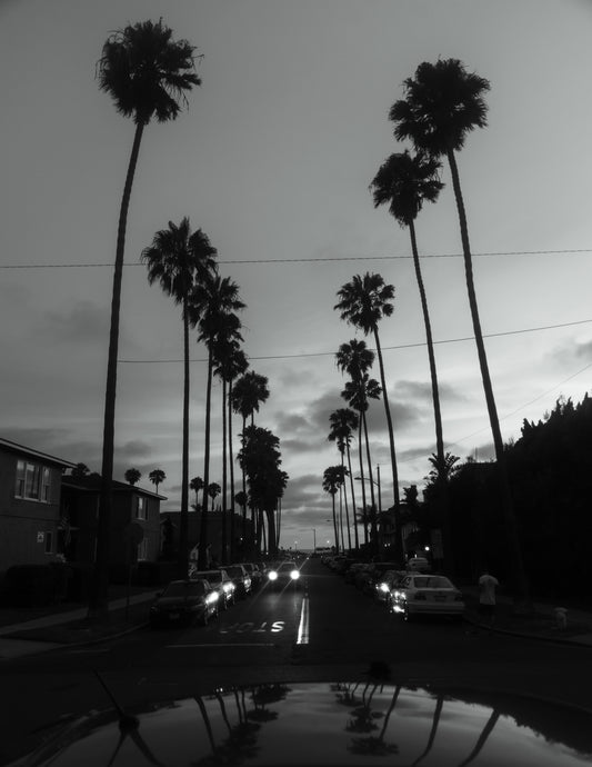 Palm Lanes