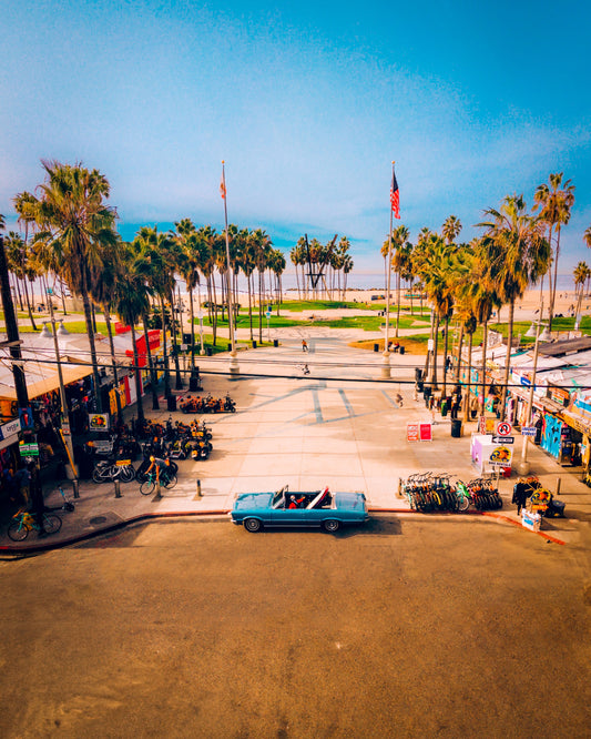 Venice Daydream