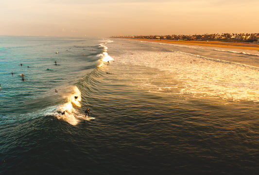 Sunlit Swell