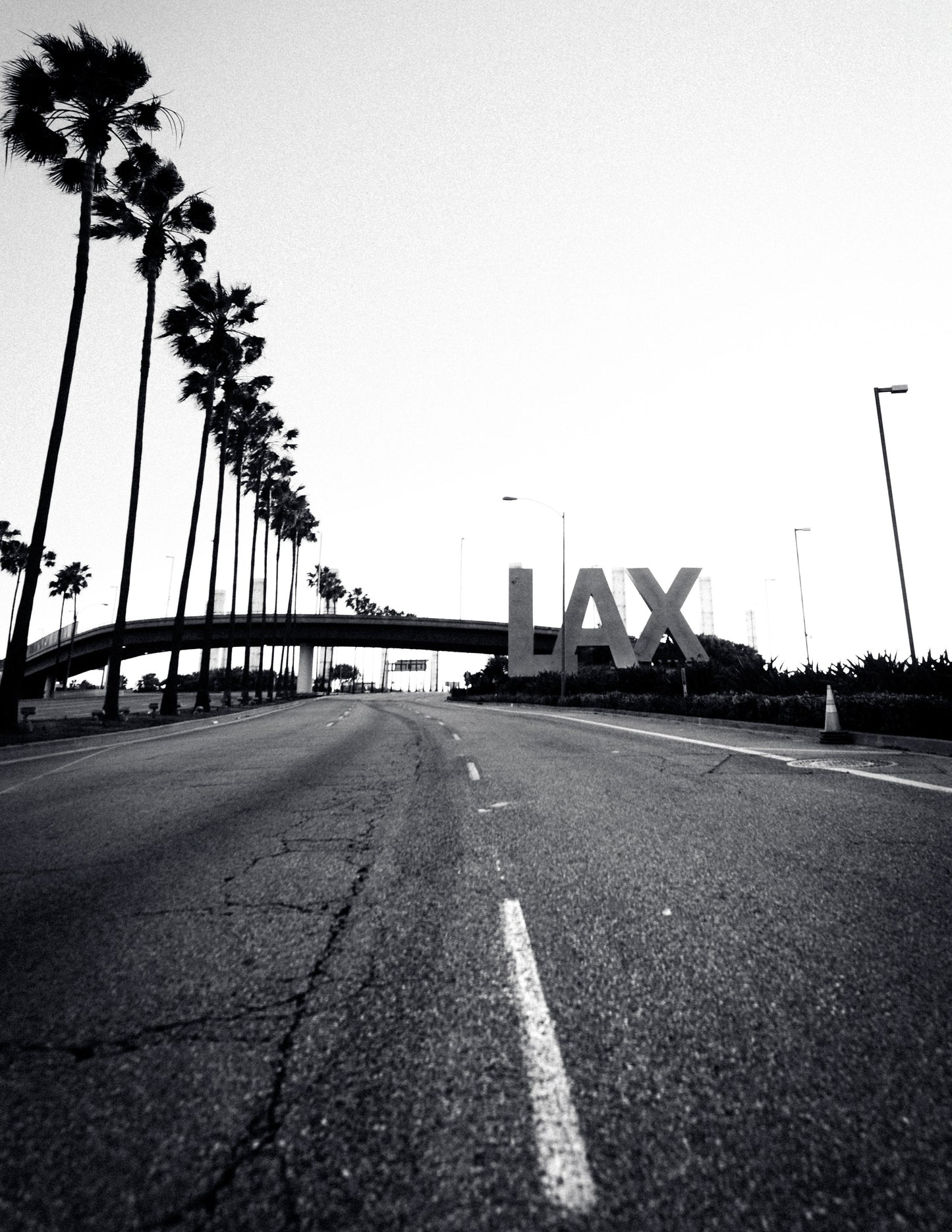 LAX Noir
