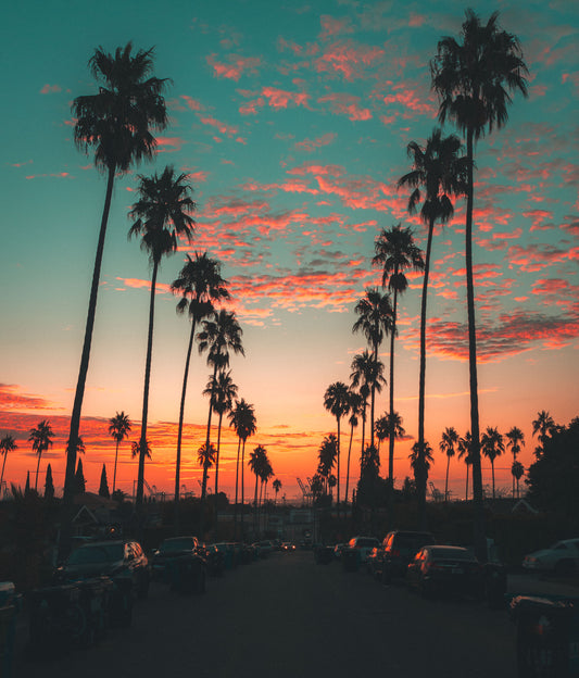 Sunrise Palms
