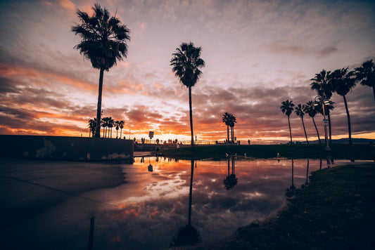 Reflections in Venice
