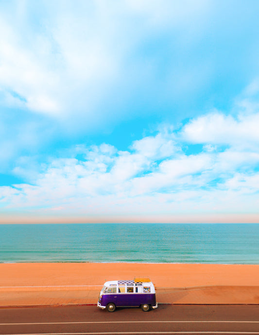 Salt Life