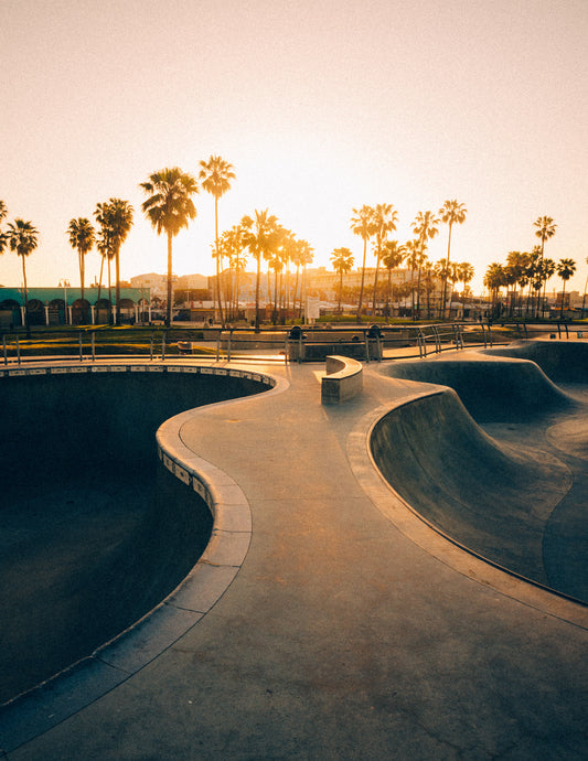 Skate Paradise